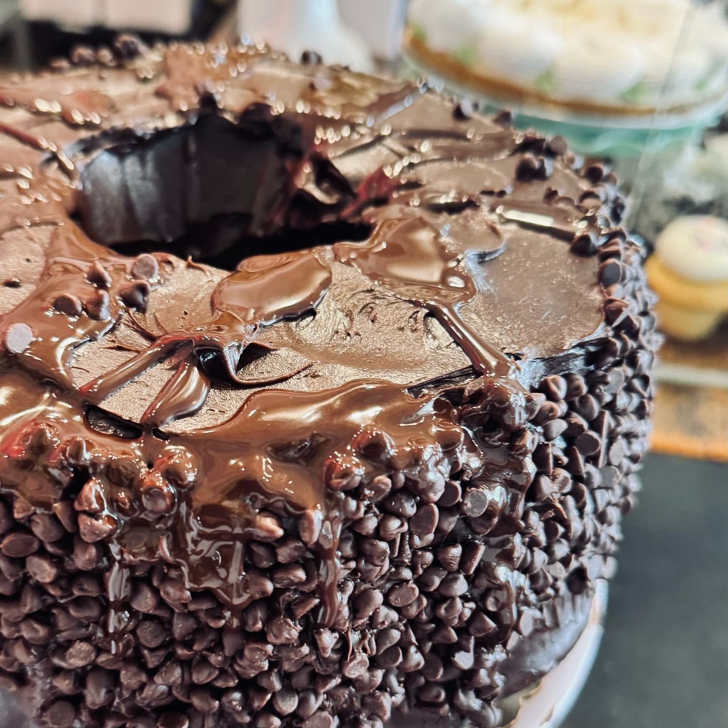 Big Slice Chocolate Chocolate Chip Pudding Cake