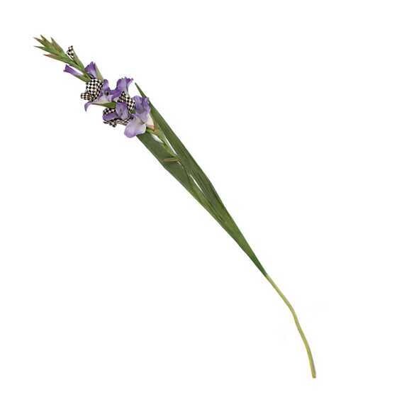 CC Gladiolus - Purple