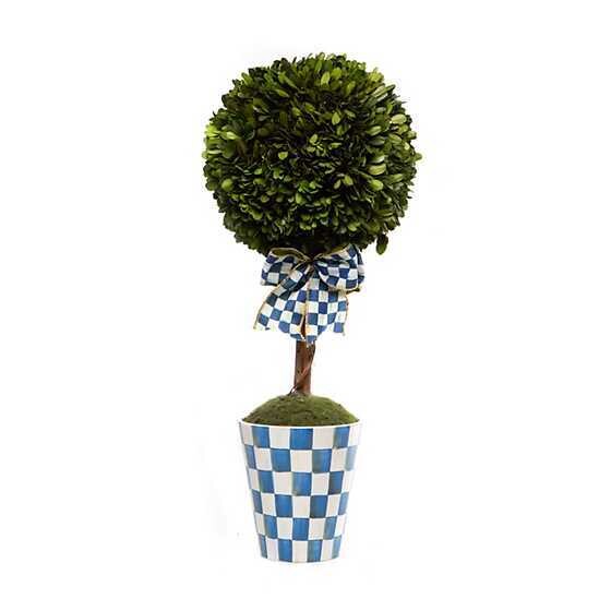 Royal Boxwood Topiary Drop In - Large
