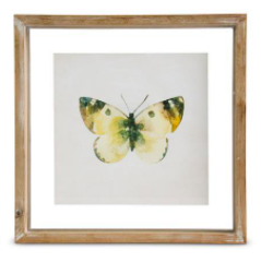 Butterfly Print Style D in Shadow Box