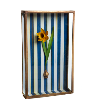 Daffodil Shadow Box