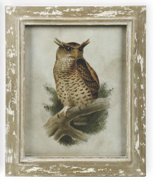 Wood Framed Owl - Style C