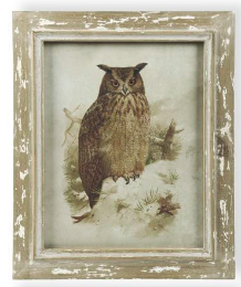 Wood Framed Owl - Style D