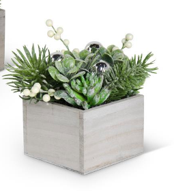 Glittered Style A Succulent in Wood Box