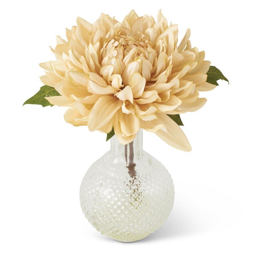 Cream Mum in Glass Vase w/ Faux Water