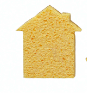 Two-Sided Sponge - House