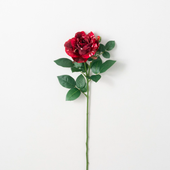 Real Garden Rose Stem - Candy Stripe - 26"