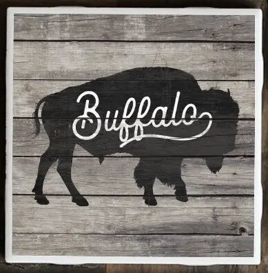 Buffalo Coaster 