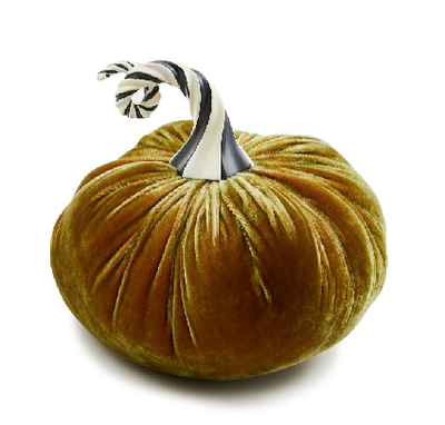 Autumnology Coffee Twisted Stem Velvet Pumpkin