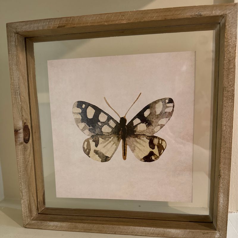 Butterfly Print Style B in Shadow Box