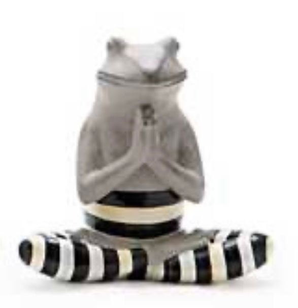Yoga Frog- Hands in Front