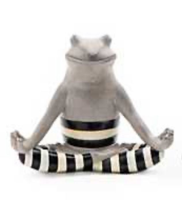 Yoga Frog- Hands on Knees