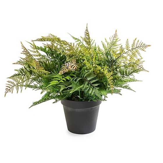 Potted Medium Fern with Bee