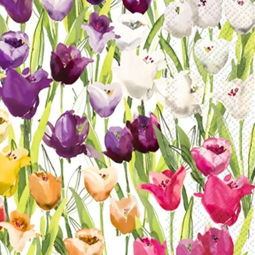 Guest Napkins Tulip Field