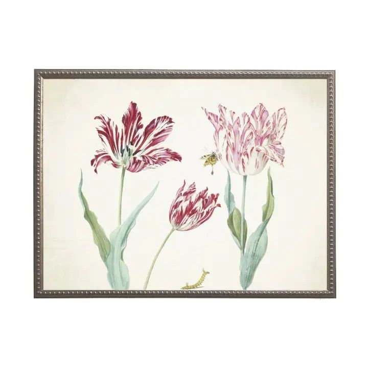 Vintage Tulip Duo 10x8