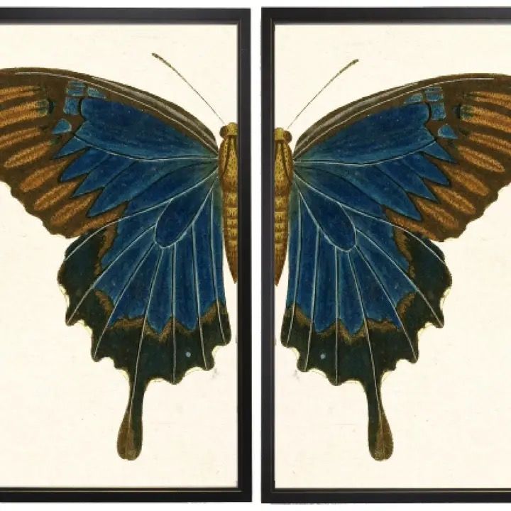 Blue &amp; Brown Butterfly Diptych