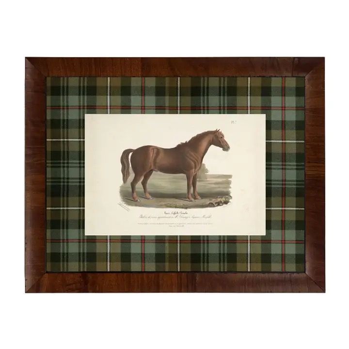 Vintage Horse Right Framed 10x8