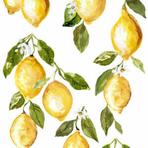 Lemon Drops PAD 4 page IOD Image Transfer