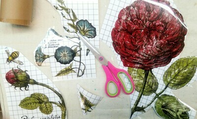 LADIES IN WAITING ~ 2021 RETIRED IOD Image Transfer PAD- 4 sheets
