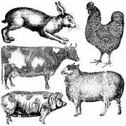 Farm Animals ~ IOD Decor Stamp -