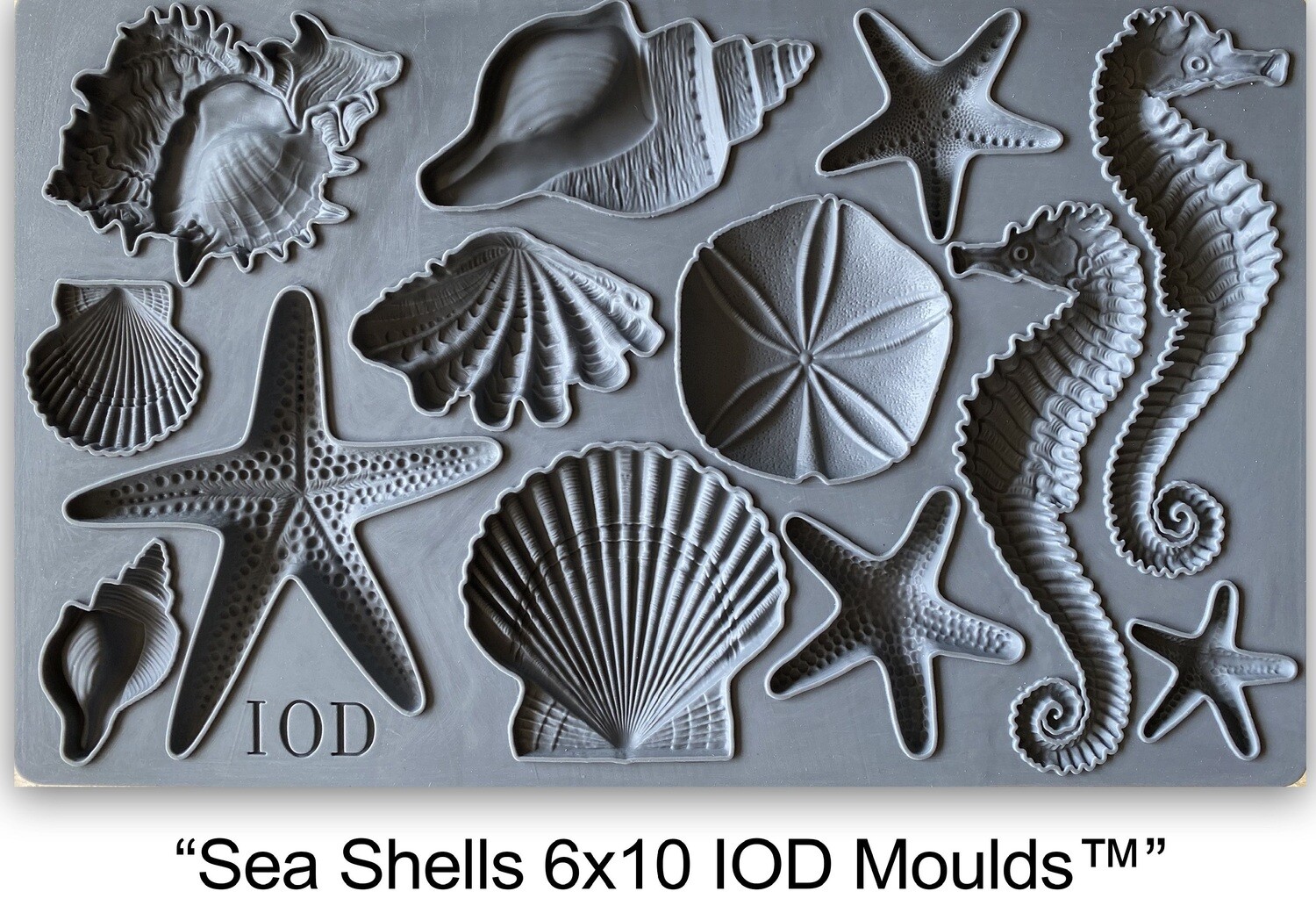 Sea Shells Decor Mould 6" x 10"