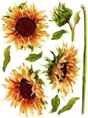 Painterly Floral 12x16 Pad™ 8 sheets  IOD Decor Transfer -