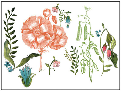 WANDER 12x16 Pad™ 4 sheets  IOD Decor Transfer -