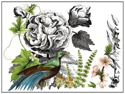 Midnight Garden 12x16 Pad™ 4 sheets  IOD Decor Transfer -