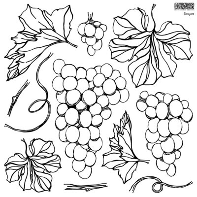 &quot;Grapes&quot; 2021 IOD Decor Stamp ~ 1 Beautiful sheet of plump grapes with leaves