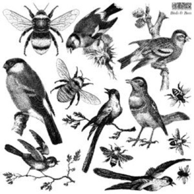 BIRDS &amp; BEES IOD Décor Stamp ~ 12x12