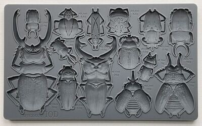 SPECIMENS 2024 DECOR MOULD ~ 6" x 10"