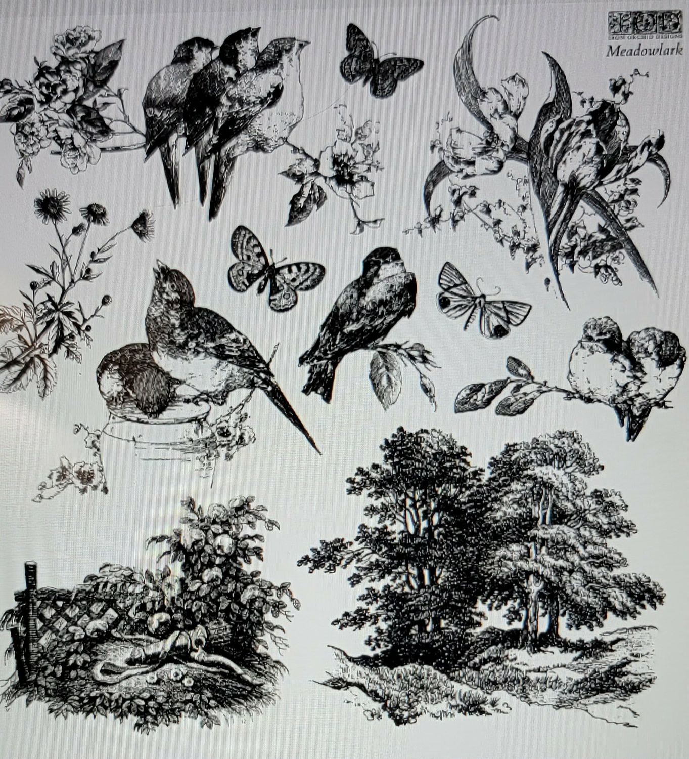 2026 MEADOWLARK  12X12   DECOR STAMP