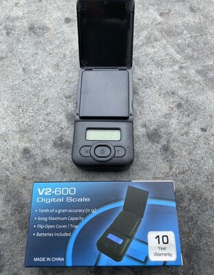 V2 600x0.1g Scale