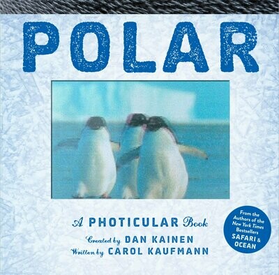 Polar  Photicular