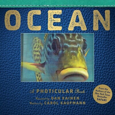 Ocean, photicular book