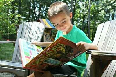 Books and Items about Dinosaurs