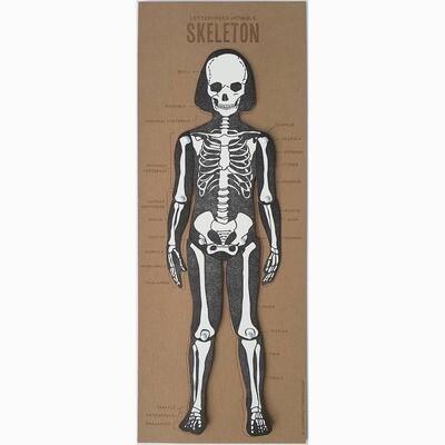 Letterpress Printed Articulated Skeleton