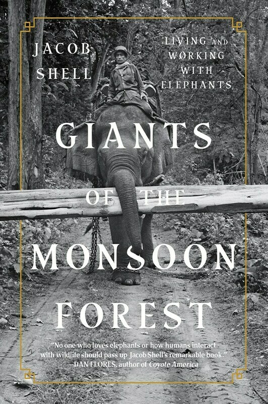 Giants of the Monsoon