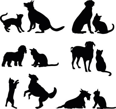 Cats and Dogs