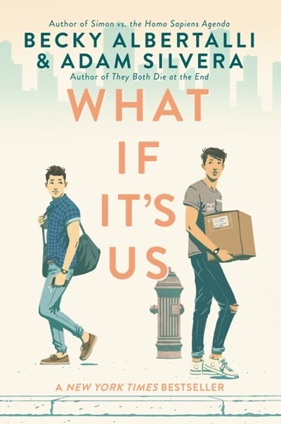 What If It’s Us (Banned Book)