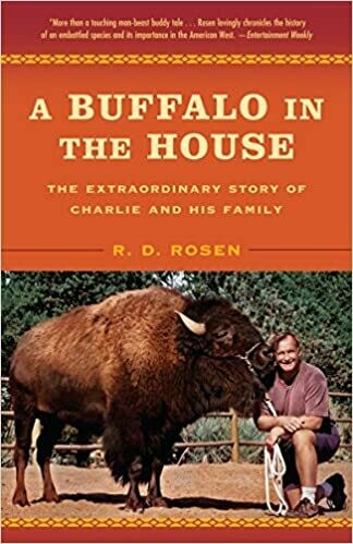 Buffalo in the House