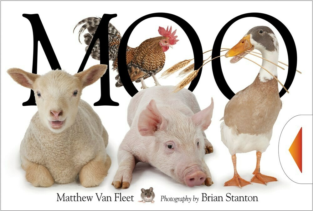 Moo by Matthew van Fleet