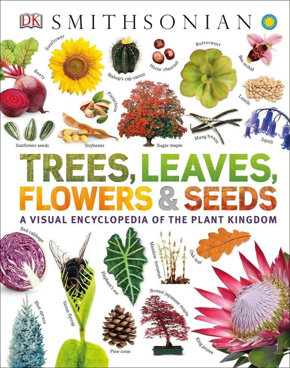 Trees, Leaves, Flowers &amp; Seeds