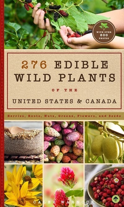 276 Edible Wild Plants