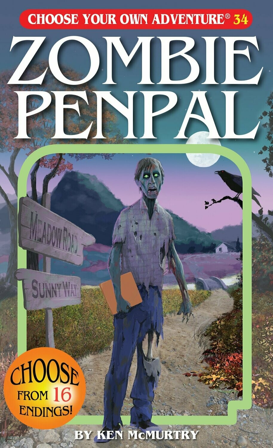 Choose Your Own Adventure, Zombie Penpal