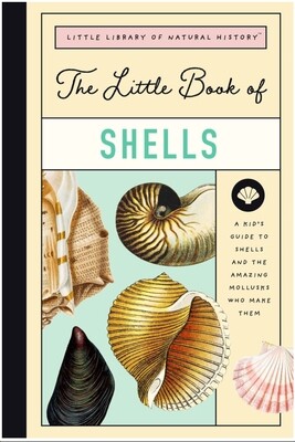 Little Book of Shells: A Kid's Guide to Shells and the Amazing Mollusks Who Make Them 