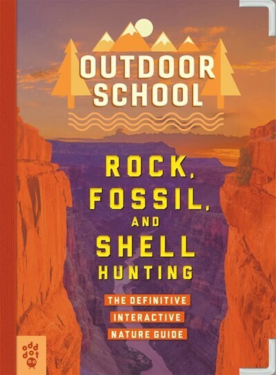 Outdoor School, Rocks Fossil, and Shell Hunting