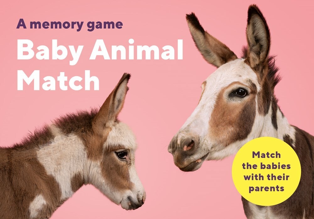 Baby Animal Match: A Memory Game 