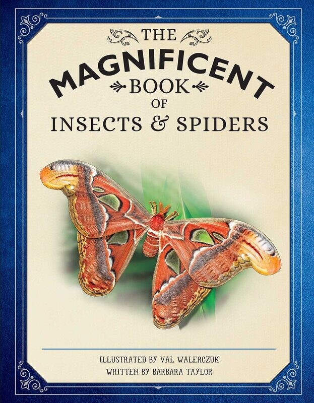 Magnificent Book of Insects and Spiders**