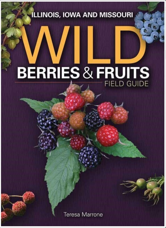 Wild Berries &amp; Fruits Field Guide for Illinois, Iowa and Missouri